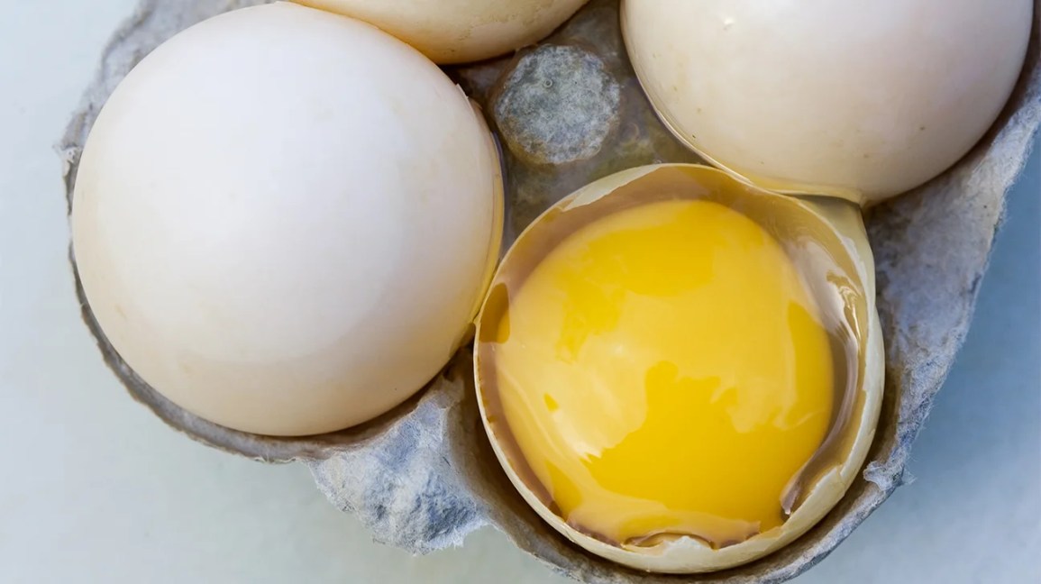 Duck eggs