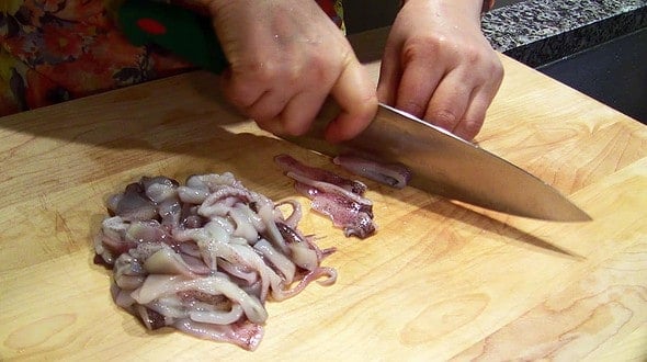 cutsquid1
