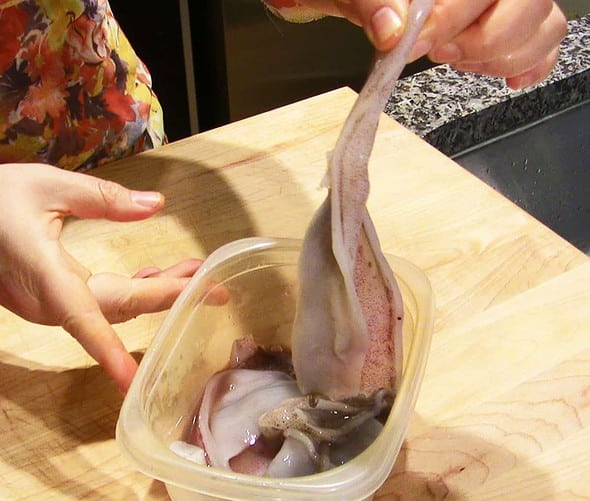 saltysquid