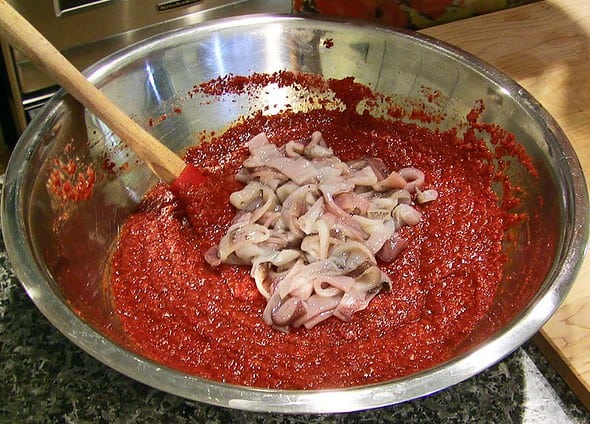 squid on paste1