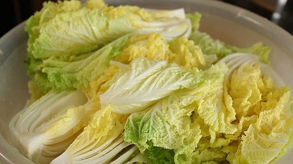 Traditional napa cabbage kimchi (Tongbaechu-kimchi: 통배추김치) 24 cabbage_salting (배추 소금절이기)