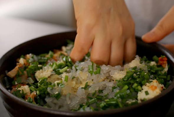 mandu filling mix