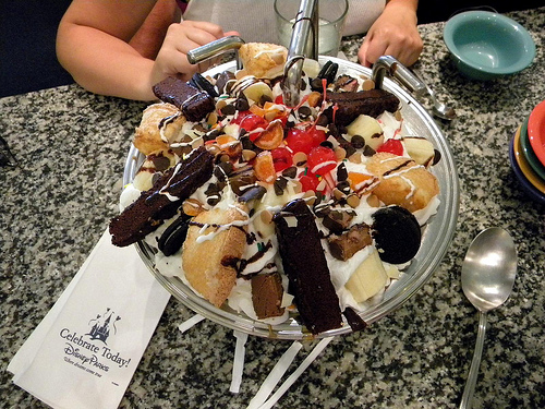 The Disney World Kitchen Sink
