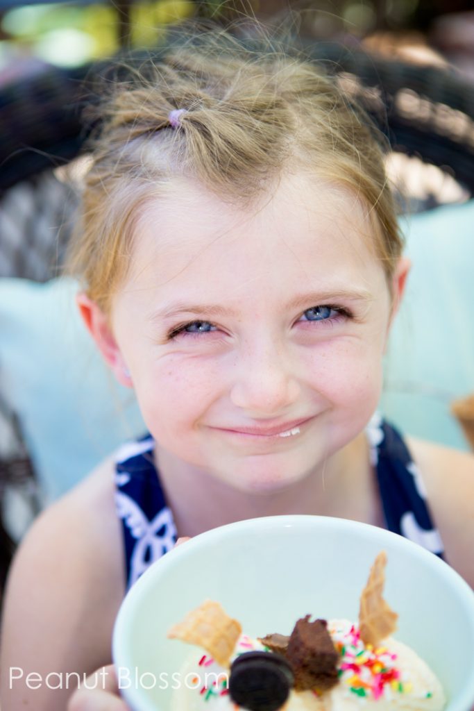 20 Ice Cream Sundae Recipes 15 Budget friendly ice cream party buffet