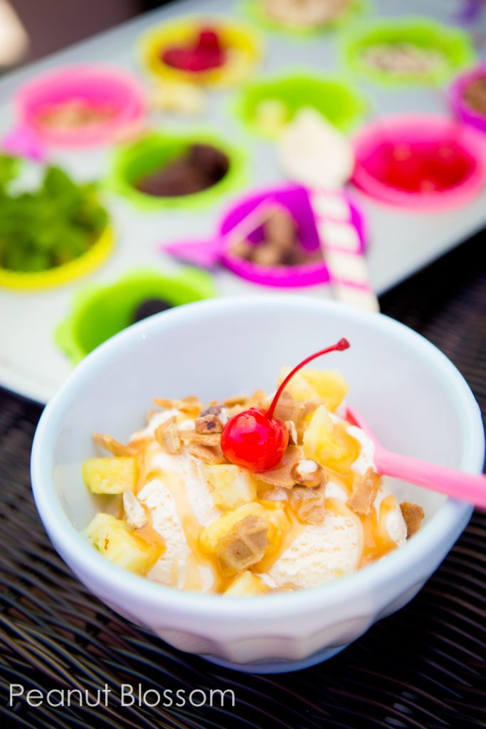 20 Ice Cream Sundae Recipes 20 Budget friendly ice cream party buffet