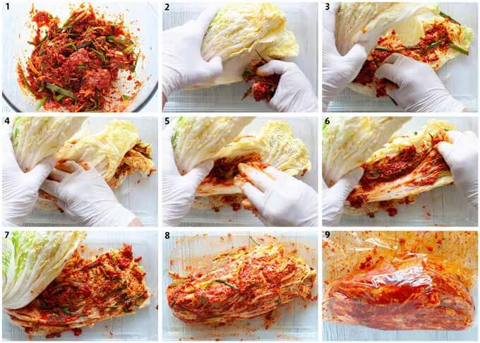 Simple Kimchi Recipe 15 Step-by-step photo of marinating Chinese cabbage to make kimchi.
