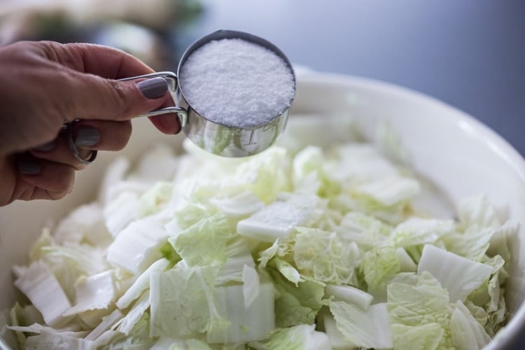 #kimchi #howtomakekimchi #vegan #vegankimchi #eatclean #cleaneating #plantbased #napa cabbage #kimchirecipe #probiotics #fermented #guthealing #fermentedcabbage #koreanfood #koreanrecipe 