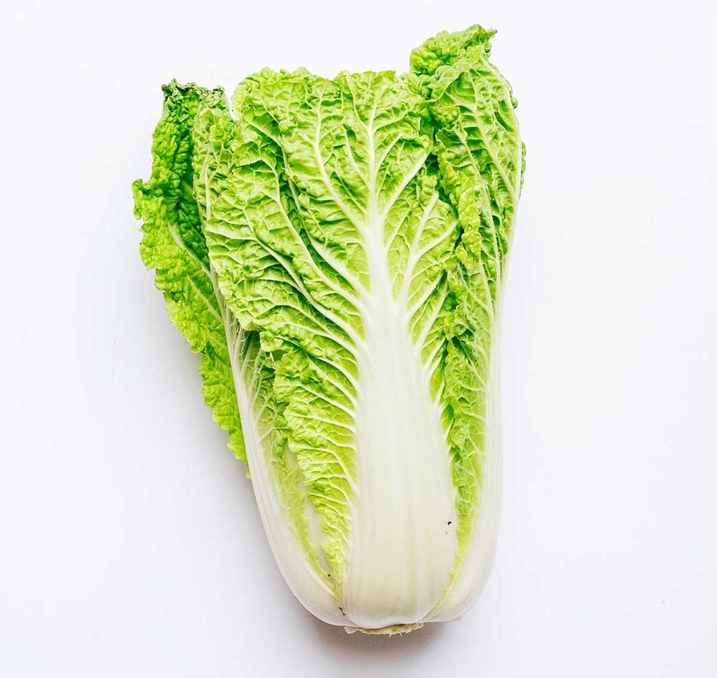 Kimchi 101: How to Make Kimchi (No Fish Sauce) 18 Whole napa cabbage on a white background