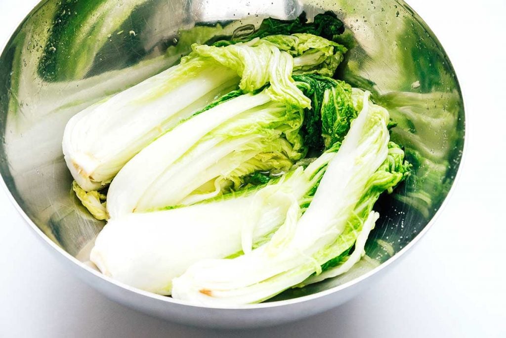 Kimchi 101: How to Make Kimchi (No Fish Sauce) 20 Wilted cabbage with salt in a bowl on white background