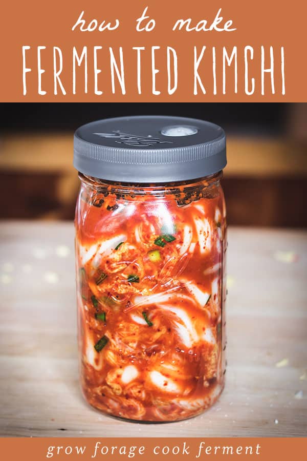 Kimchi is a spicy Korean side dish that is traditionally fermented, similar to sauerkraut. It is usually made with napa cabbage along with other vegetables like carrots, onions, ginger, and garlic. Korean chili flakes give it a spicy kick! Kimchi is surprisingly easy to make and so delicious! a ball jar with kimchi