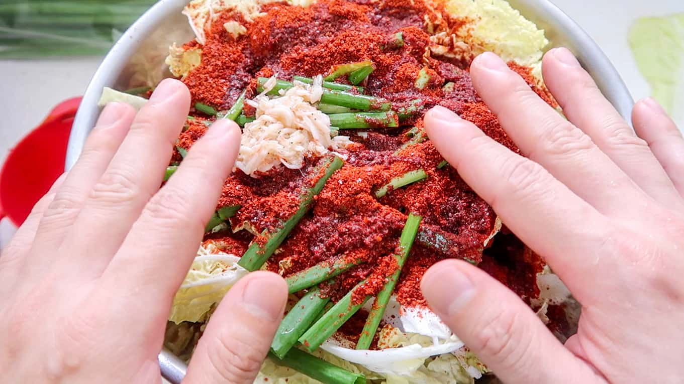 Fresh Kimchi 6 1