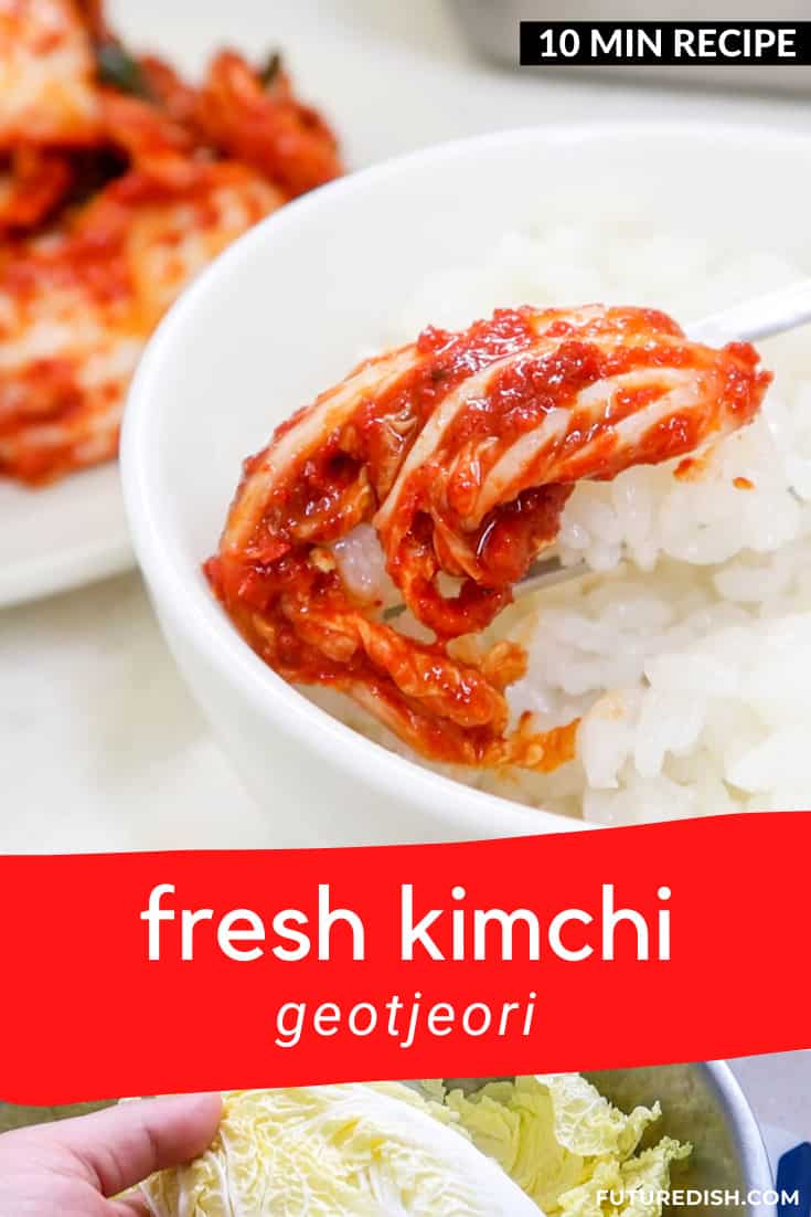 Fresh Kimchi (Geotjeori) - Incredible, 10 Minute Recipe! 22 Fresh Kimchi Geotjori