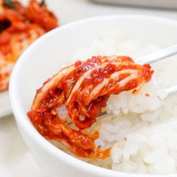 Fresh Kimchi (Geotjeori) - Incredible, 10 Minute Recipe! 20 Fresh Kimchi (geotjeori)