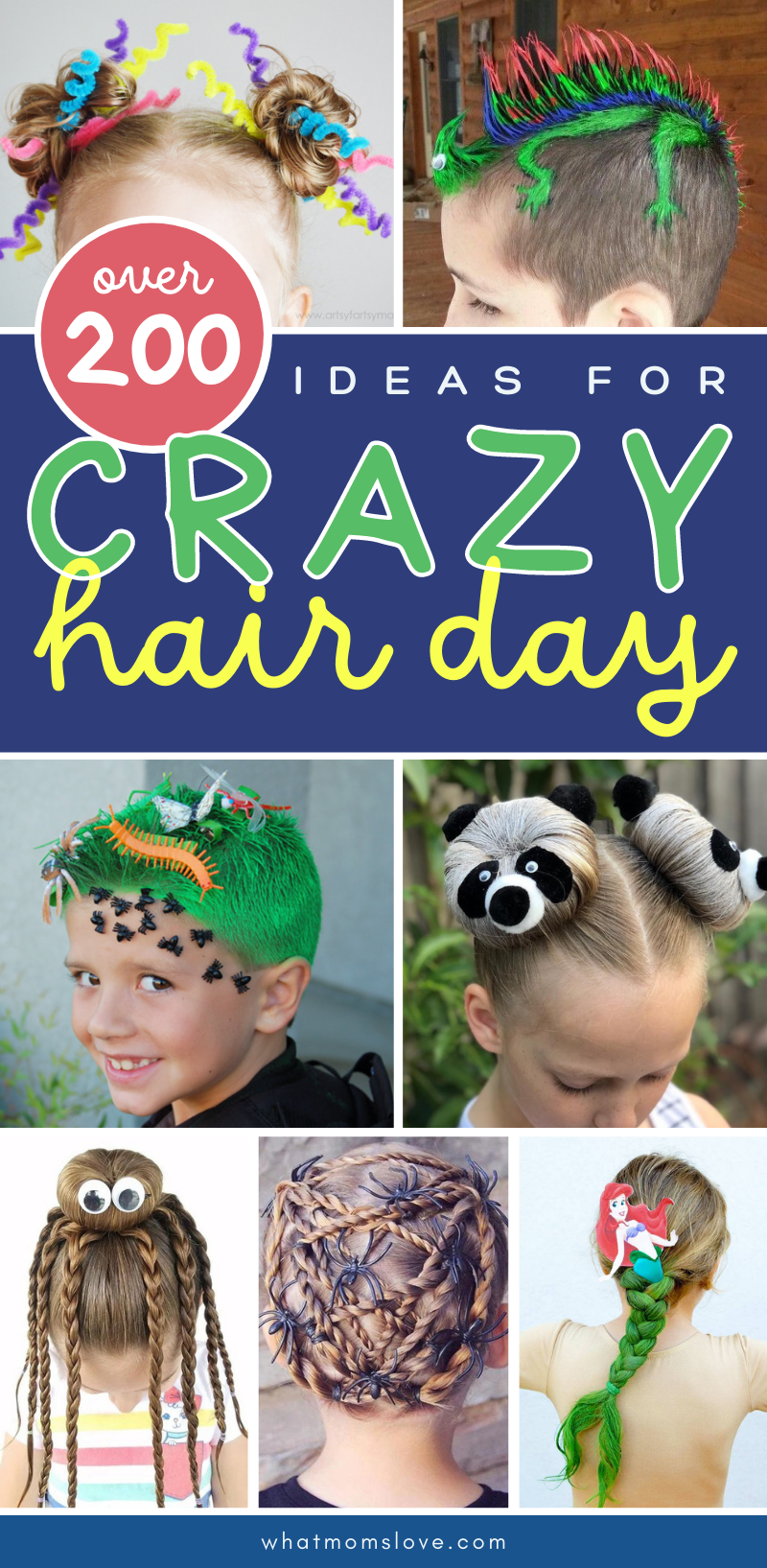 Crazy Hair Day Ideas MAIN PIN